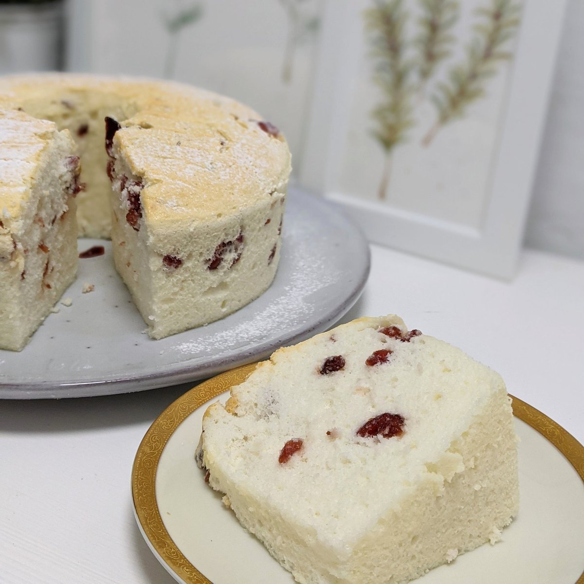 bakingjosie's tweet photo. Feathery soft Cranberry Chiffon Cake #chiffoncake #cranberrycake #cake #bakingcakes #baking #homebaking #baking #baked #homeMade https://t.co/2jJ005bx1K