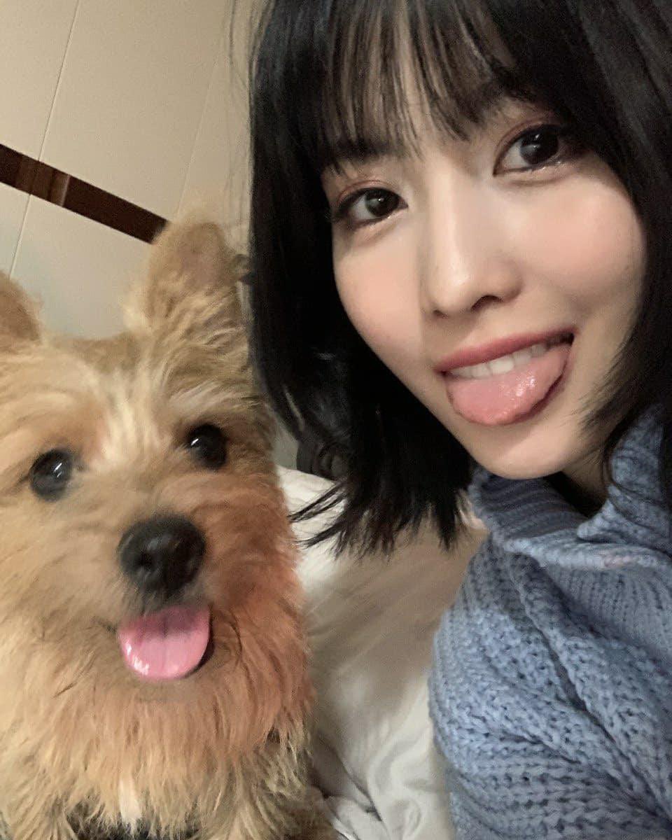 Twice 和訳 Information モモ Instagram Twice 트와이스 Jypetwice 모모 Momo