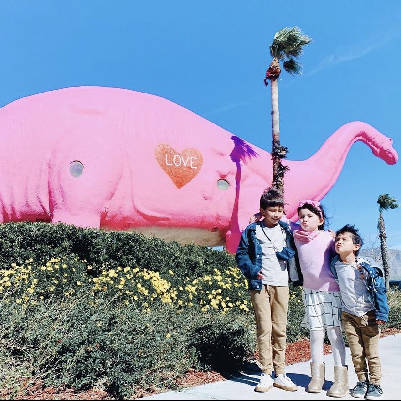 On Wednesdays, Dinos wear Pink.