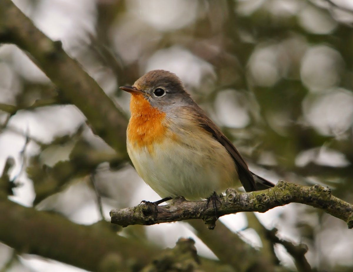 Matt Eade tweet media