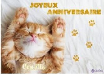 Camille Camillounetta Twitter