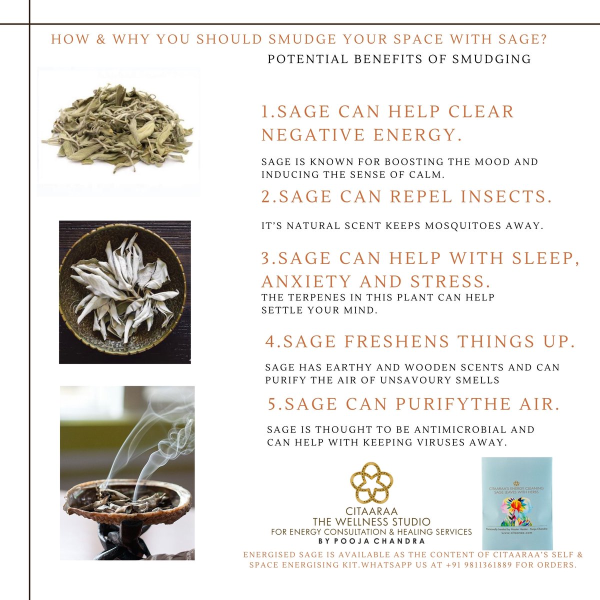 Citaaraa: The Wellness Studio tweet media