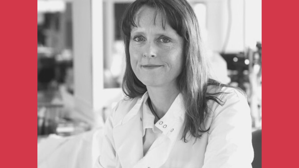 Prof Valerie O’Donnell, Director of the Division of Infection and Immunity -  @CUSystemsImmu Co-Director is distinguished for her discovery of inflammatory bioactive lipids generated by circulating blood cells. She is an expert in the rapidly expanding area of lipidomics.