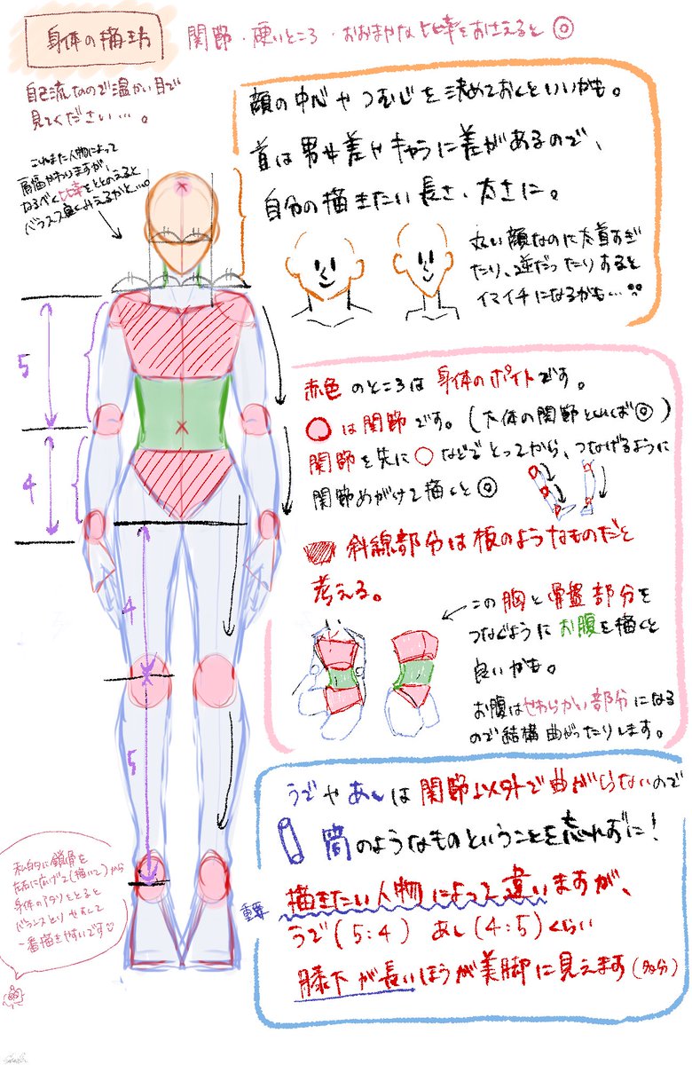 マロからご要望があったので私の身体の描き方ご紹介(?)です?
私も勉強中なので優しい目で見てください、、、、 