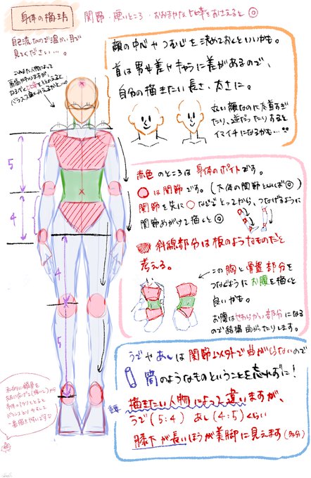 マロからご要望があったので私の身体の描き方ご紹介(?)です?
私も勉強中なので優しい目で見てください、、、、 