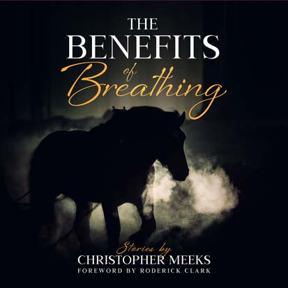 MeeksChris's tweet image. #SHORTSTORIES, "THE BENEFITS OF BREATHING"

"All of the stories had their own spin and kept me gripped. All the stories made me think...I would love to read more from Meeks." --M. Dobschuetz 

@BlackthornTours #GreatReads