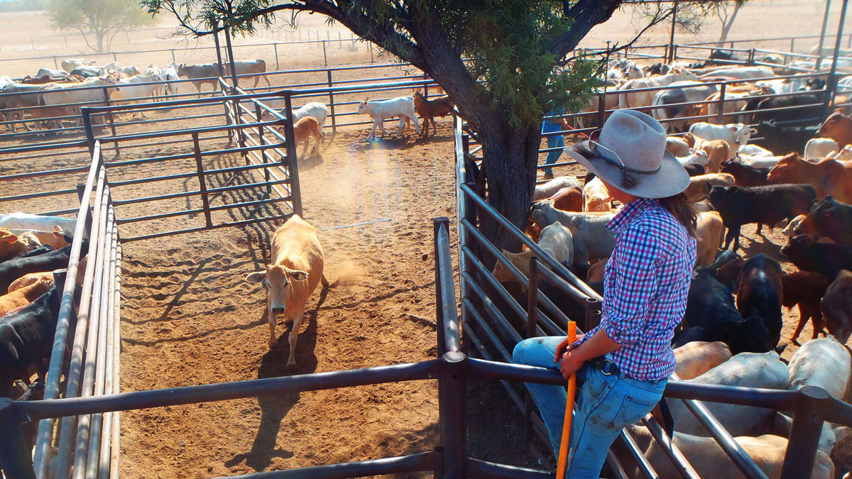 Es war der schlimmste Tag meines Lebens, als ich in die Arbeitslosigkeit schlitterte. Ich fühlte mich, als würde ich in ein Loch ohne Boden fallen. Ich saß im Büro meines Chefs in London, der mir soeben verkündete, dass ich in den Plänen für das nächste

bit.ly/3aRPa9H