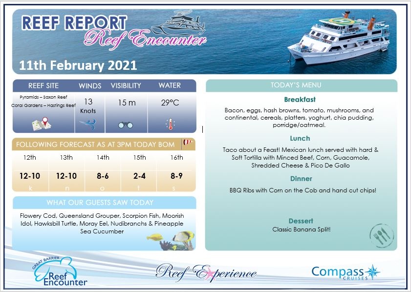 Reef Encounter Reef Report - 11th February 2021

🐙🦈🐠🦑🐢😎🤿

🖱 reefencounter.com.au
☎️  (07)4037 2700
 
#reefencounter #floatinghotel #sleeponthereef #bestcrewonthereef #holidayherethisyear 
#scubadiving #ocean #travel #underwaterworld