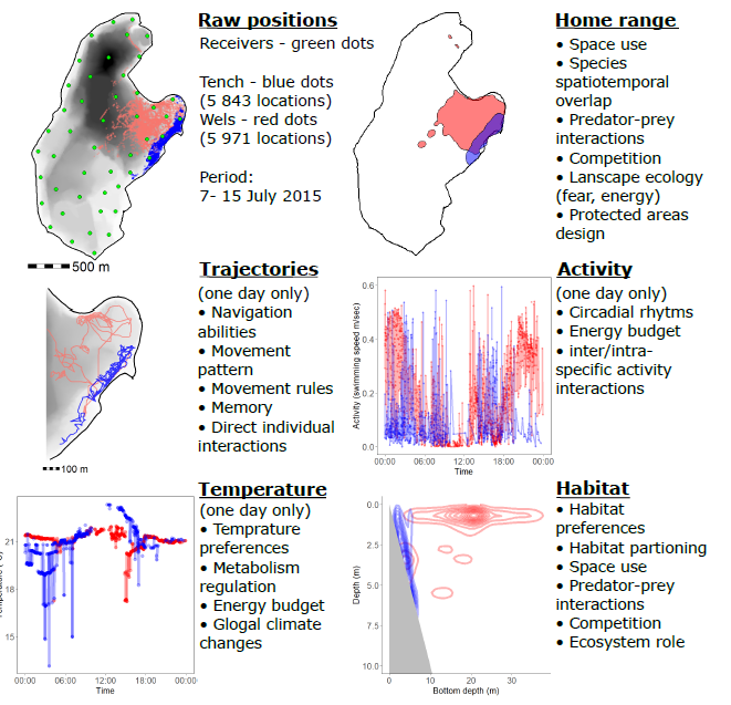 Robert Lennox tweet media