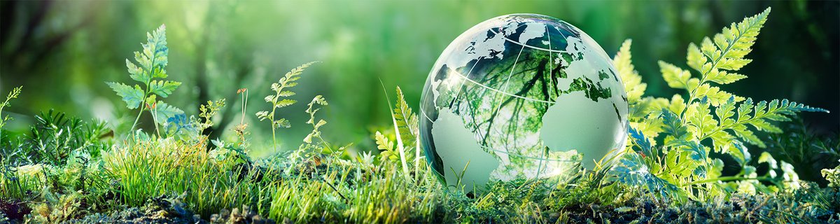 🌱Le comité de perfectionnement de l’@EMLV a inscrit l'innovation responsable comme pilier pédagogique !

💚Décision influencée par les entreprises partenaires du <a href="/poledevinci/">Pôle Léonard Vinci</a> et <a href="/Oracle_France/">Oracle France</a> qui vient de signer l'Appel #Tech4Good.

🔗Lien de l’article : bit.ly/3qamjUu