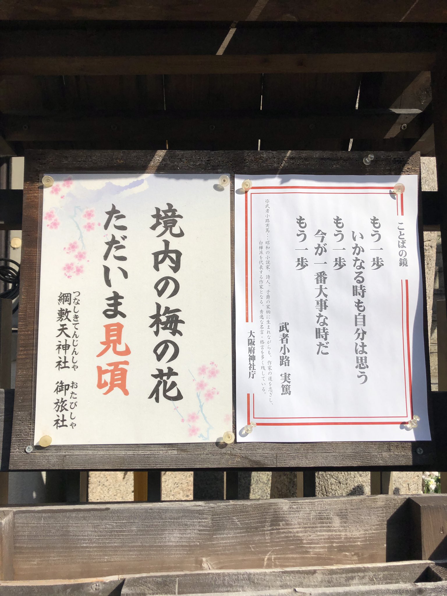 岡村理恵子 Okamurarieko Twitter