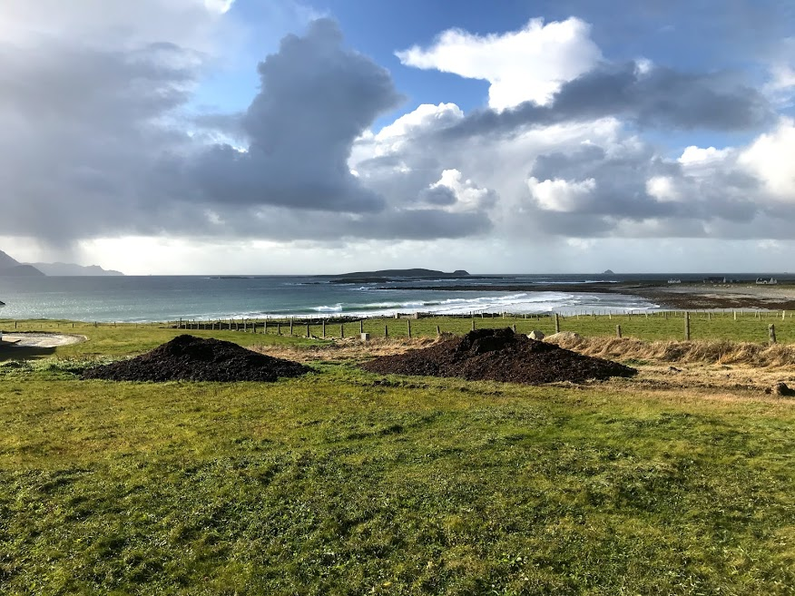 Stunning but windswept areas like this are home to Ireland's last remaining Corncrakes. Early cover is at a premium so some landowners work with us to create beds of cover such as nettles beds.This spent mushroom compost will be spread >10cm thick and sown with rhizomes. 1/3
