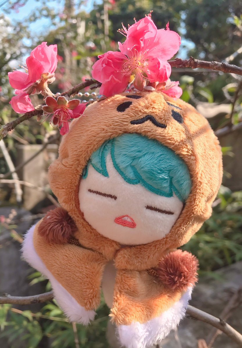 Tiny Doll tweet media