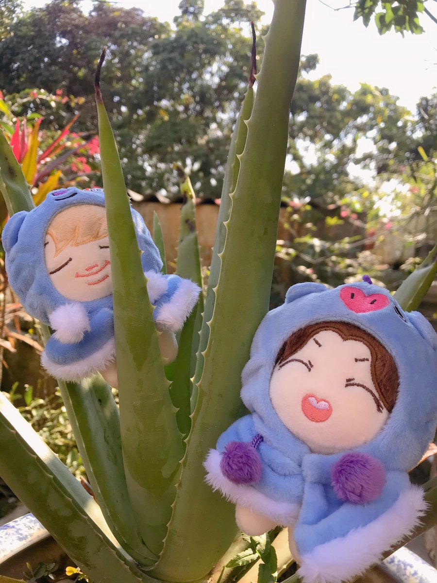 Tiny Doll tweet media