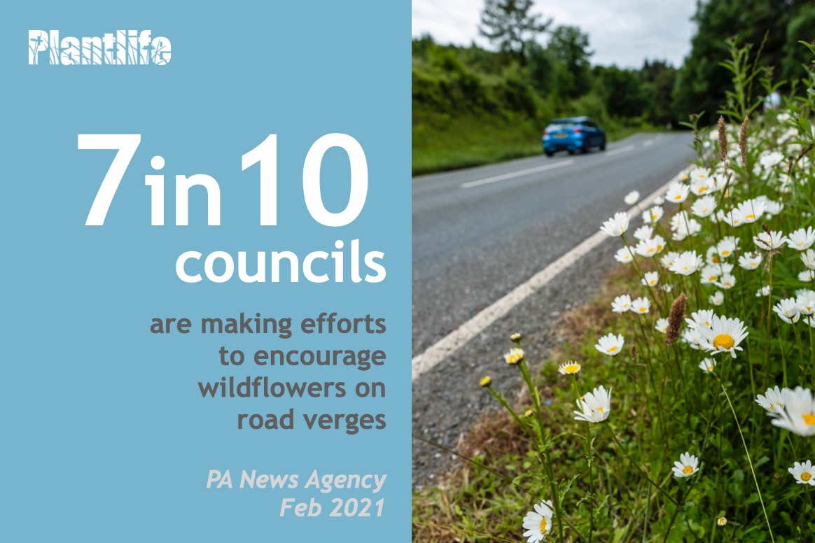 BREAKING: @PA freedom of information data reveals blooming appreciation for wildlife-friendly #RoadVerges from councils. Full findings here:
dailymail.co.uk/wires/pa/artic… #ThursdayMotivation #thursdaymorning #ThursdayThoughts