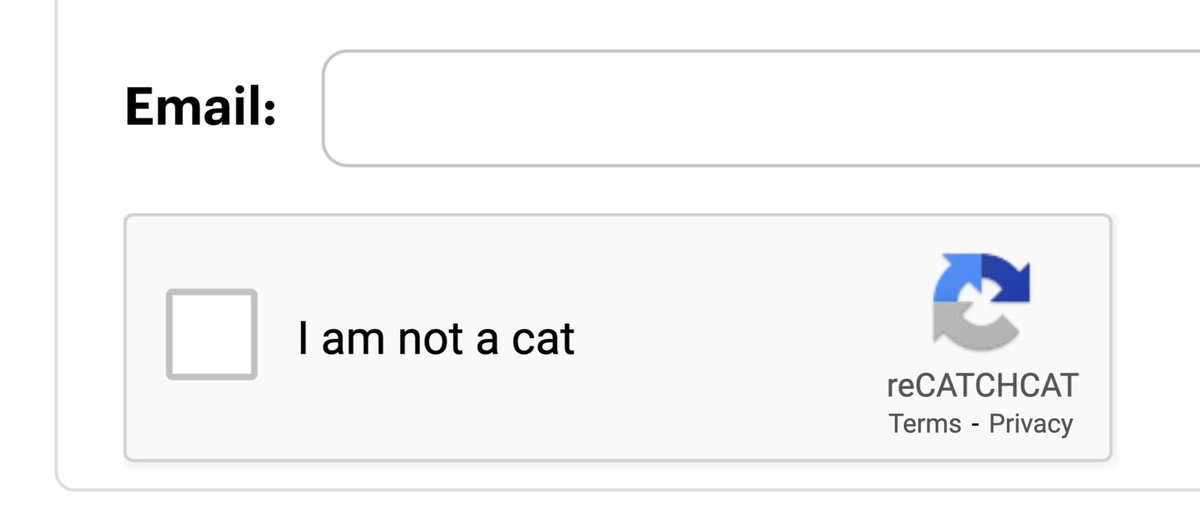 wileryd's tweet photo. 2021 will be the year when captchas changed. #captcha #catchcat #iamnotacat https://t.co/jTrrEgqu86