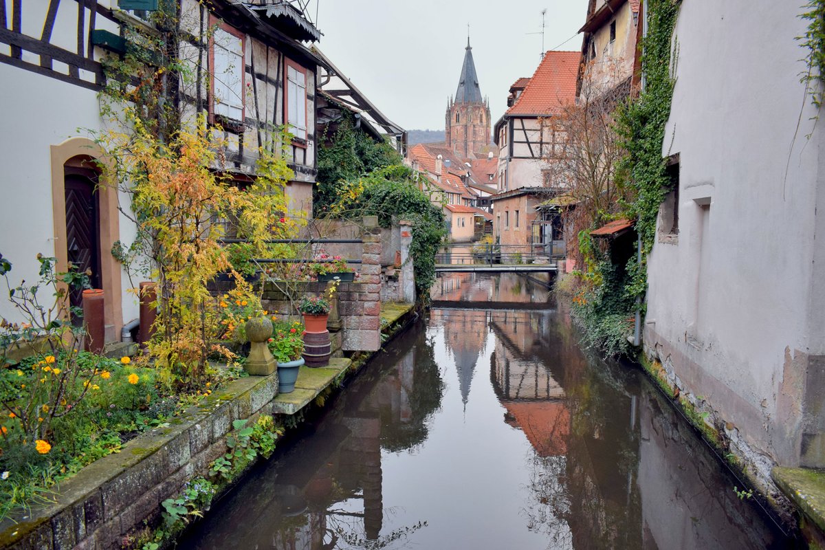 Mon_Grand_Est's tweet photo. Découvrez le bon pays de Wissembourg sur le webzine #EnFranceAussi >> https://t.co/Dm4oOV9Naw
Un des plus beaux détours de France tout au nord de l'Alsace!
.
.
.
#Wissembourg #VisitAlsace #ExploreFrance #MagnifiqueFrance #FrenchMoments #PBDF #cavautledetour https://t.co/UXB0ZsVWy9