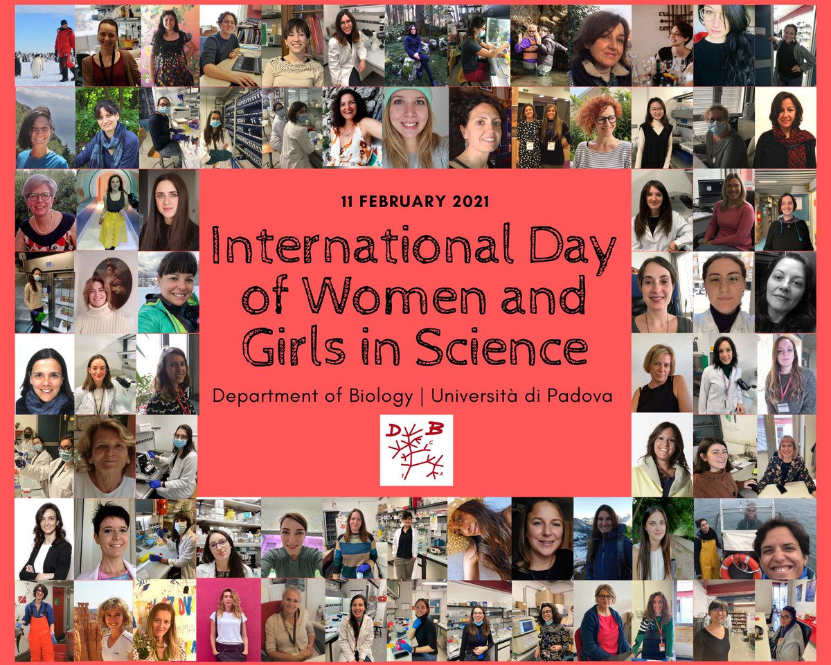 Department of Biology – University of Padova (@dibio_unipd) on Twitter photo 🌟 Proud to celebrate @womenscienceday with our strong and brilliant team of #women and #girls <a href="/DiBio_UniPD/">Department of Biology – University of Padova</a> <a href="/UniPadova/">Università di Padova</a>
📢 Happy Woman Science Day to all of you!
We sustain #EqualityInScience #WomenInScience #WomenInSTEM
@ilbolive #Research #Biology #Sciences 🌟 Proud to celebrate @womenscienceday with our strong and brilliant team of #women and #girls <a href="/DiBio_UniPD/">Department of Biology – University of Padova</a> <a href="/UniPadova/">Università di Padova</a>
📢 Happy Woman Science Day to all of you!
We sustain #EqualityInScience #WomenInScience #WomenInSTEM
@ilbolive #Research #Biology #Sciences