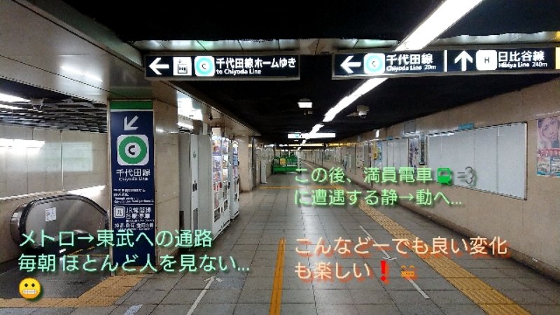 ぽたて Pa Twitter すご い 魚魚魚 魚をたべーると 頭頭頭 頭が良くーなる って歌が聞こえて来そうなメニューだね 満員電車 そして休日出勤お疲れ様でした ゆっくり寝てください
