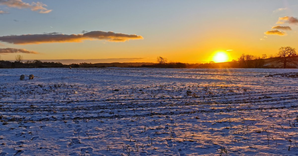 Sunrise over Derbyshire 11/02/21 #sunrise #sunrise🌅 #sunriseoftheday #sunrisephotography #sunrise_and_sunsets #sunrise_sunset_worldwide #derbyshire #sun #landscapes #landscapephotography #landscape #snowlandscape #sheep #naturelover #naturephotography #nature
