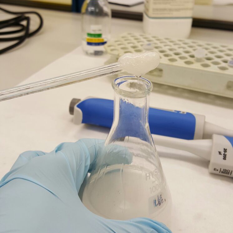 Bertabt1's tweet photo. #11F2021 #WomenInScience https://t.co/qKqZmclUjJ