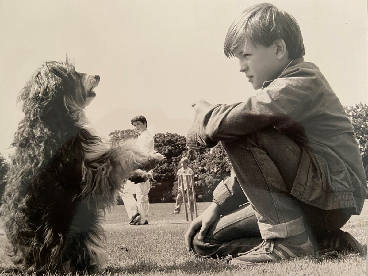Tom Aldwinckle (@aldwinckletom) on Twitter photo Today is #ThrowbackThursday So here is another one from the #Woof #ChildrensTV archives. - (Or should it be Throw Ball Thursday?)
<a href="/CherryParkerMgt/">Cherry Parker Management</a> Today is #ThrowbackThursday So here is another one from the #Woof #ChildrensTV archives. - (Or should it be Throw Ball Thursday?)
<a href="/CherryParkerMgt/">Cherry Parker Management</a>