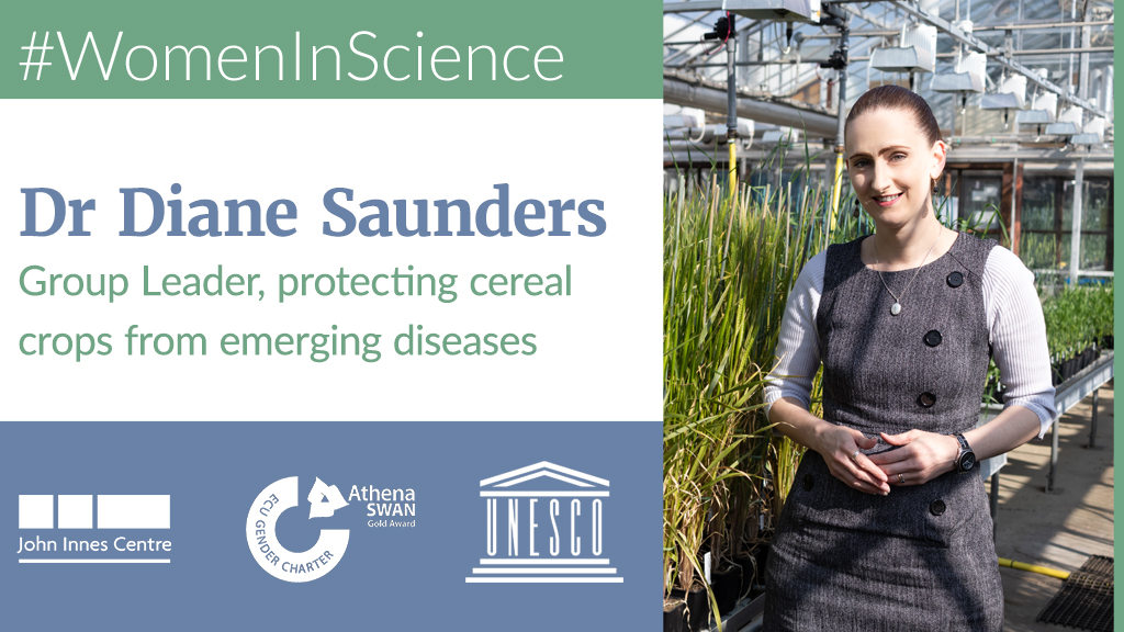 Dr Diane Saunders - Group Leader, protecting cereal crops from emerging diseases  @Saunders_Lab  #WomenInScienceDay  https://www.jic.ac.uk/people/diane-saunders/