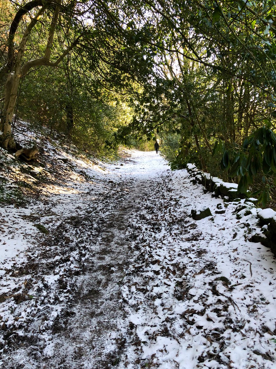 Sian Rogers tweet media