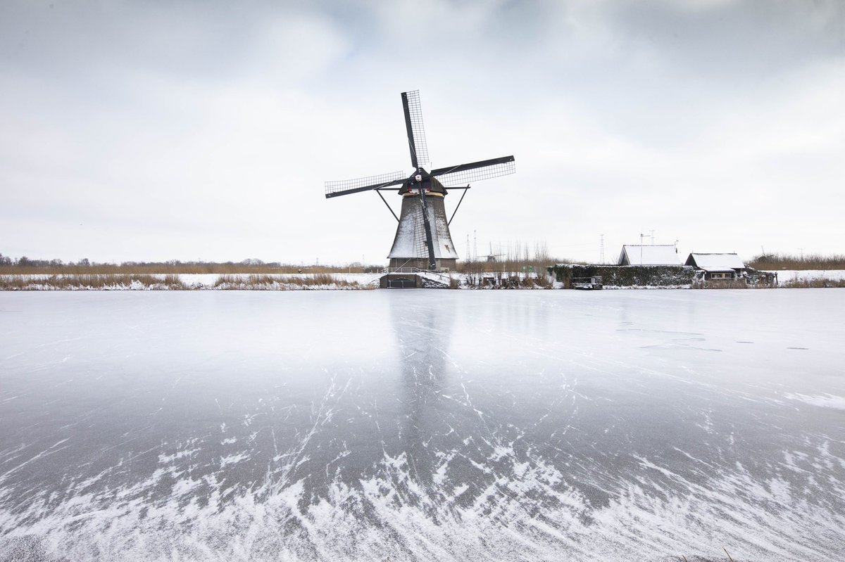 Helga van Leur ☀ tweet media