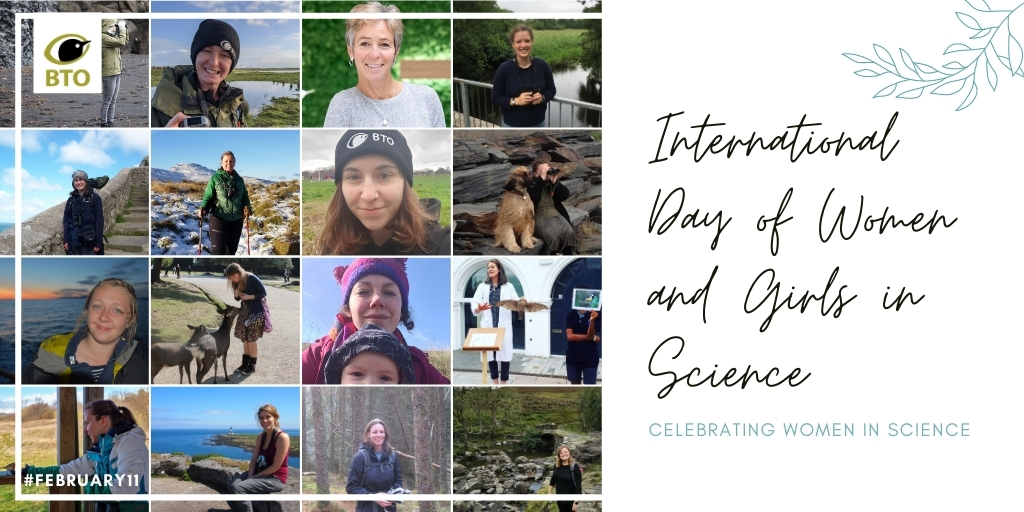BTO (@_bto) on Twitter photo Today is the International Day for Women and Girls and Science. To celebrate the fantastic women that work and volunteer for BTO, we'll be sharing their stories today. Share your own story in the comments!
#February11 <a href="/WomenScienceDay/">Women in Science Day</a> Today is the International Day for Women and Girls and Science. To celebrate the fantastic women that work and volunteer for BTO, we'll be sharing their stories today. Share your own story in the comments!
#February11 <a href="/WomenScienceDay/">Women in Science Day</a>