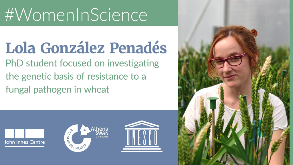 Lola González Penadés - PhD student focussed on investigating the genetic basis of resistance to a fungal pathogen in wheat https://www.jic.ac.uk/people/lola-gonzalez-penades/  #WomenInScienceDay