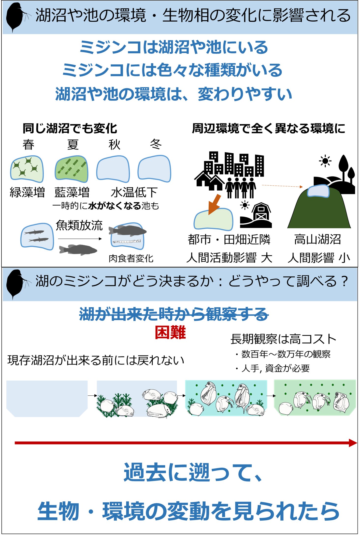 大毛蓼 Al Twitter どこでも博物ふぇす 明日21 30より ミジンコについて講演をさせて頂きます 今回は 湖沼堆積物と その中に残る ミジンコの身体の一部や休眠卵を用い 湖沼生態系やミジンコたちが長期間でどのように変動してきたかを明らかにする研究について