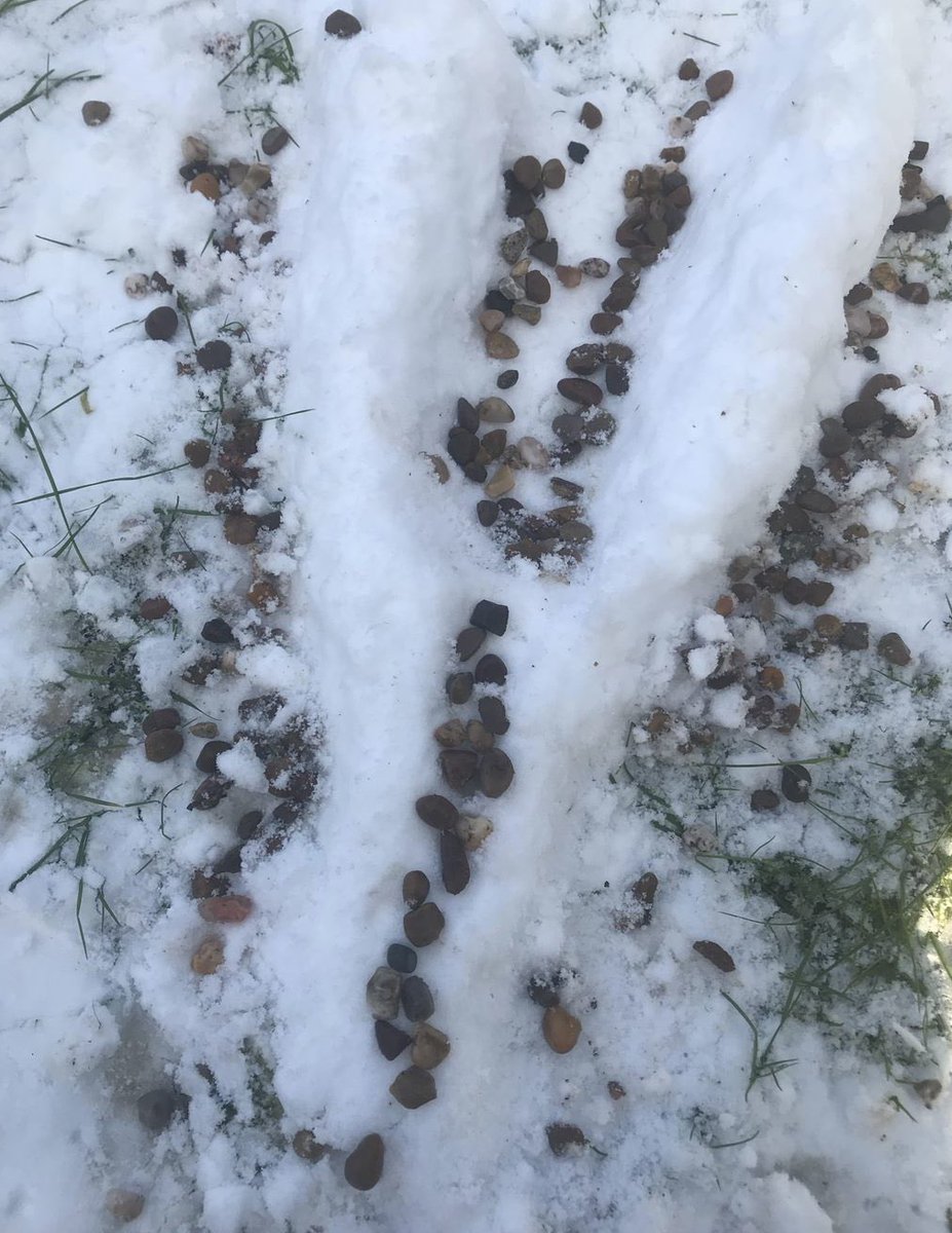 GeogEcco's tweet photo. Y8 geographers took advantage of the snow this week to make glaciers and model different types of moraine. ❄️ I think we have some future glaciologist’s at Ecco... https://t.co/y40byt5WBl