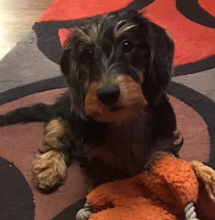 Derbyshire Police tweet media