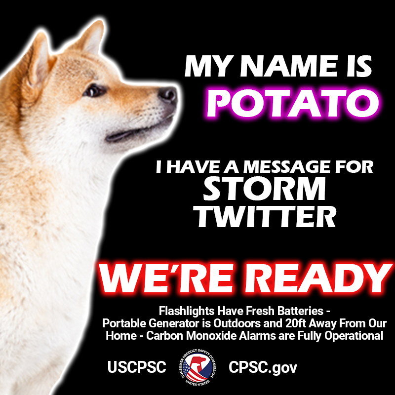 A picture of a dog named potato. My name is potato. I have a message for Storm Twitter. We're Ready. Flashlights have fresh batteries. Portable generator is outdoors and 20ft away from our home. Carbon monoxide alarms are fully operational.
