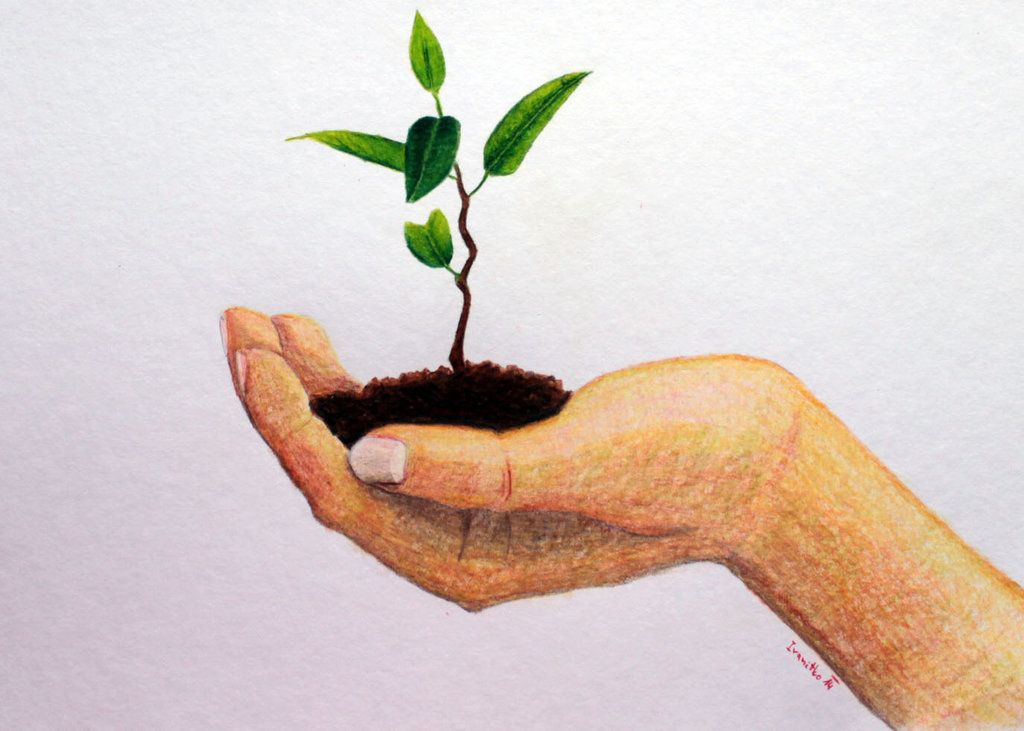 These are 4 lessons that were painful to learnBut I wouldn't trade them for anything. I will use them for the rest of my lifeAnd I hope you will too. END