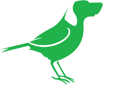 HoldanBlog's tweet image. If you want to know the latest and greatest projects that @bird_dog_gear have worked on, check out their user stories at bit.ly/3aZovrP 

#NDI #NDITV #NDIwithHoldan