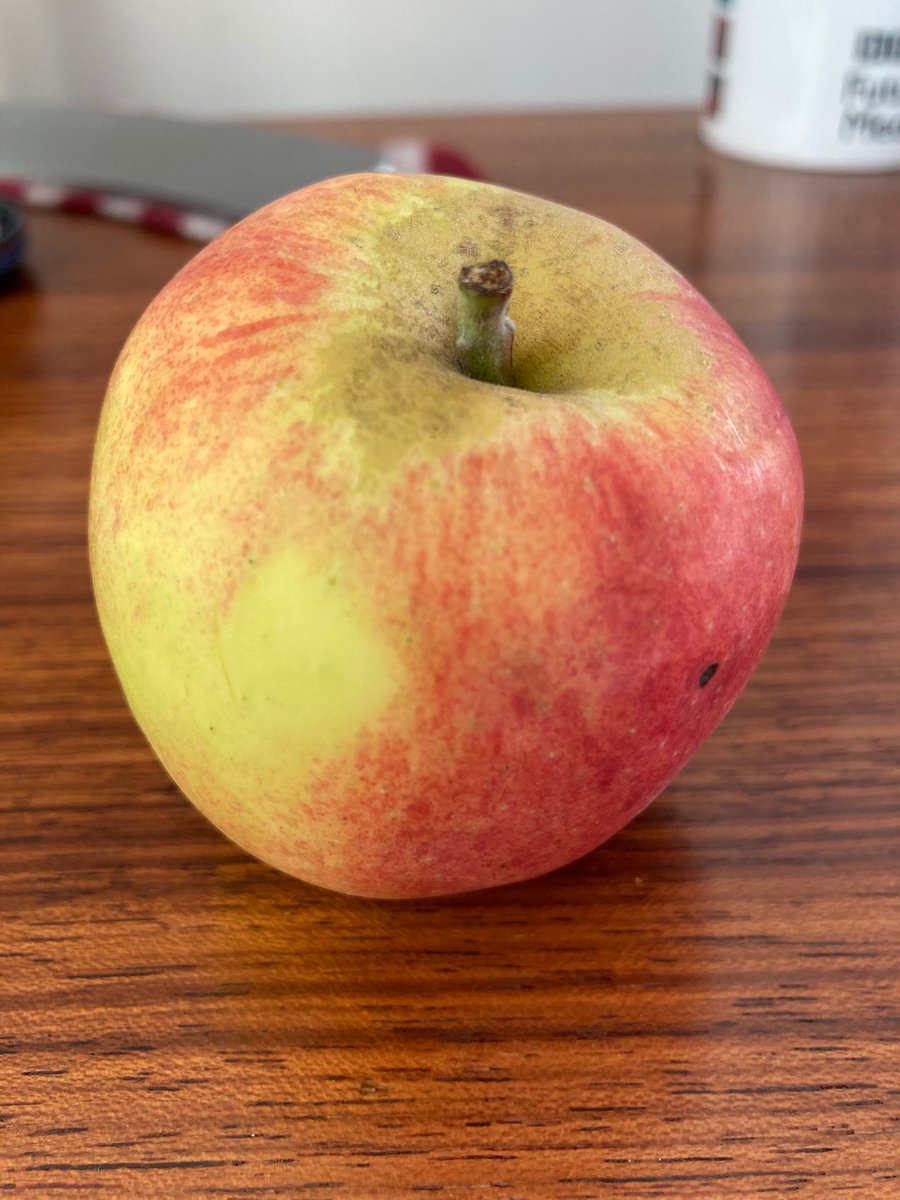 Jane Murison tweet media