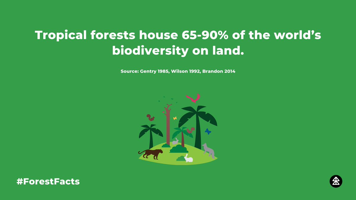 #ForestFacts: #TropicalForests house 65-90% of the world’s #biodiversity on land!

We need more #forests in our world!

#DYK #Forest #Nature #Sustainability #FridayVibes #Environment #Conservation #FridayFact #SDG15 @1t_org @forestproud @FAOForestry @globalforests @IUCN_forests