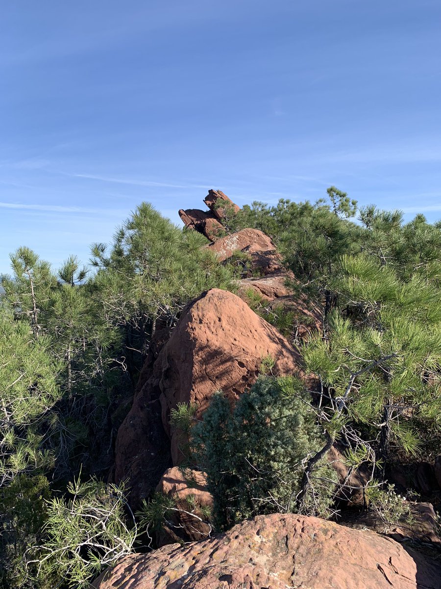 cesardura20's tweet image. És un privilegi continu gaudir d&apos;aquesta província. ⛰🏝

Junt a un crack @xxaviperis.

#OrgullDeCS