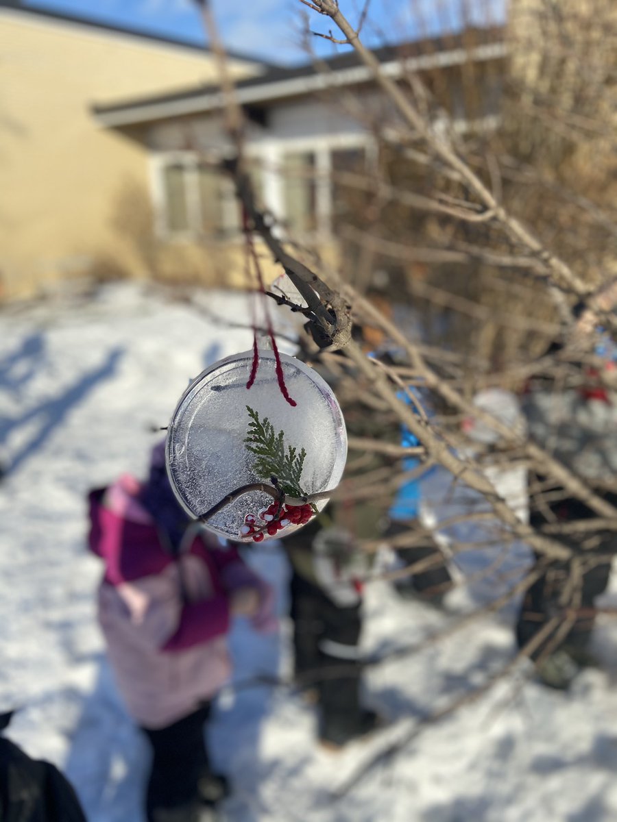 jacq_sandham's tweet photo. It’s always a nice day at @SDStampeders but our grade 1 class made our space a little more beautiful with their natural sun catchers. #WinterWonderland https://t.co/PaURiDdISx