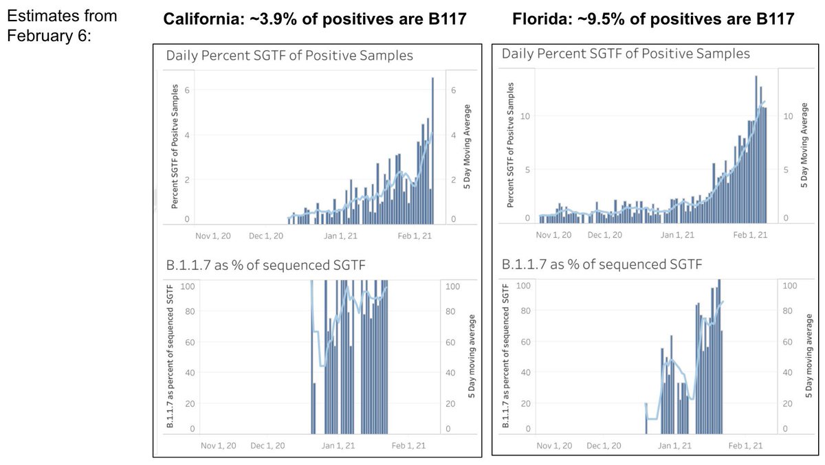 Concerning—new data shows the more contagious  #B117 variant is growing so quickly in Florida—now almost 10% of all  #COVID19 case. California only ~2 weeks behind. Surge of  #B117 may yield April wave if vaccine rollout slow. (Dashboard by  @my_helix) https://public.tableau.com/profile/helix6052#!/vizhome/SGTFDashboard/SGTFDashboard