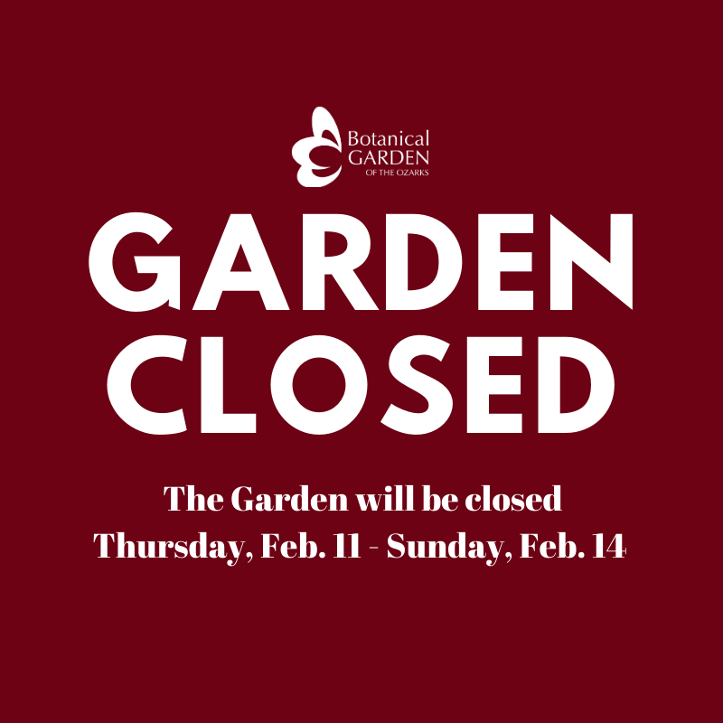 Due to the inclement weather, the Garden will be closed Thursday, Feb. 11 through Sunday, Feb. 14.  Stay safe and warm! #NWArk #ARwx