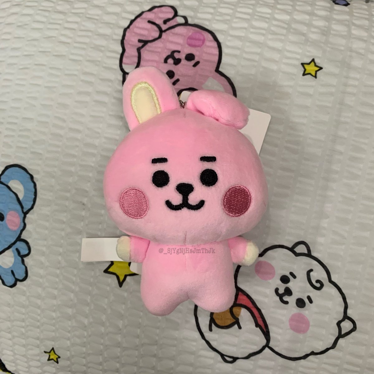 01.30.21BT21 Baby Cooky Bag Charm Pahabol order from Ate Nabi 