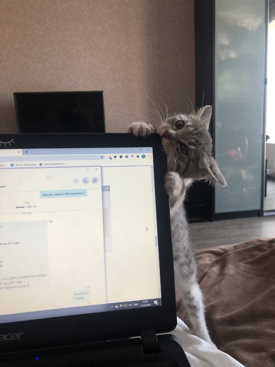 bylumw's tweet photo. Дочь айтишников https://t.co/aFODa8j2d0