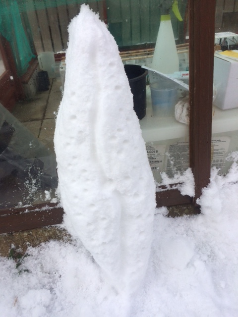 marbef22's tweet image. Best snow figures of the year so far..#snowlab. Gyrosigma spp we think, punctae a bit odd tho..