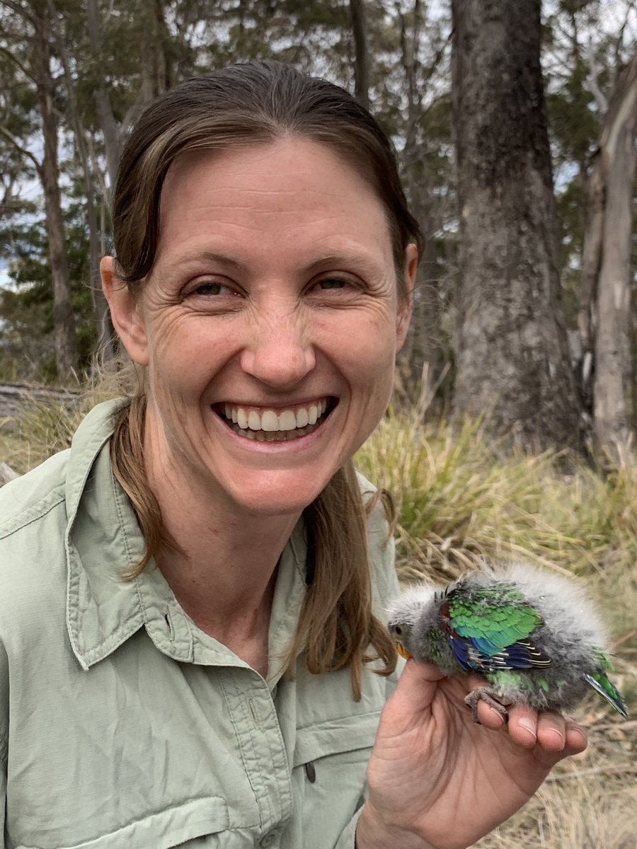 Meet  @CatMYoung ! She’s done lots of stuff on lots of birds and is a great mentor for all our students! Most recently she was in charge of our orange-bellied parrot work and she’s about to start on a new project on rufous scrub birds 5/n