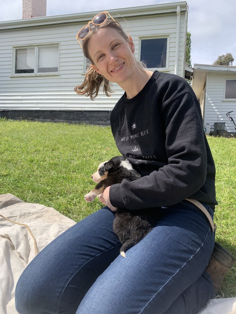 Meet  @CatMYoung ! She’s done lots of stuff on lots of birds and is a great mentor for all our students! Most recently she was in charge of our orange-bellied parrot work and she’s about to start on a new project on rufous scrub birds 5/n