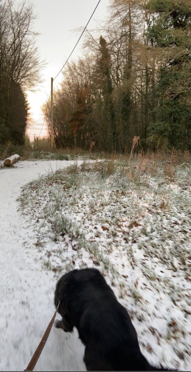 CncKilcormac's tweet photo. Some student photos of beautiful scenery they are surrounded by in their local areas. #LockdownViews #Wellbeing #NaturePhotography @MidlandTrib @Offaly_Express https://t.co/kCv9IjkeP3