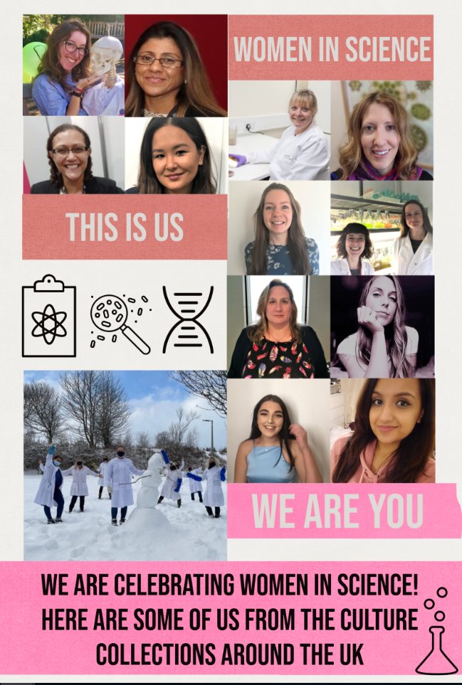 NCTC_3000's tweet photo. From apprentices to curators and everything in between we are #womeninSTEM
#womenscienceday  @WomenScienceDay @ukbrcn @NCPV @TheNCPF @nctc_3000 @ECACC @CABI_Microbe @ncimb @LualAyuen @sunitakatreena
@Heshah143 @KielyRooney https://t.co/YTNeM8TC8h